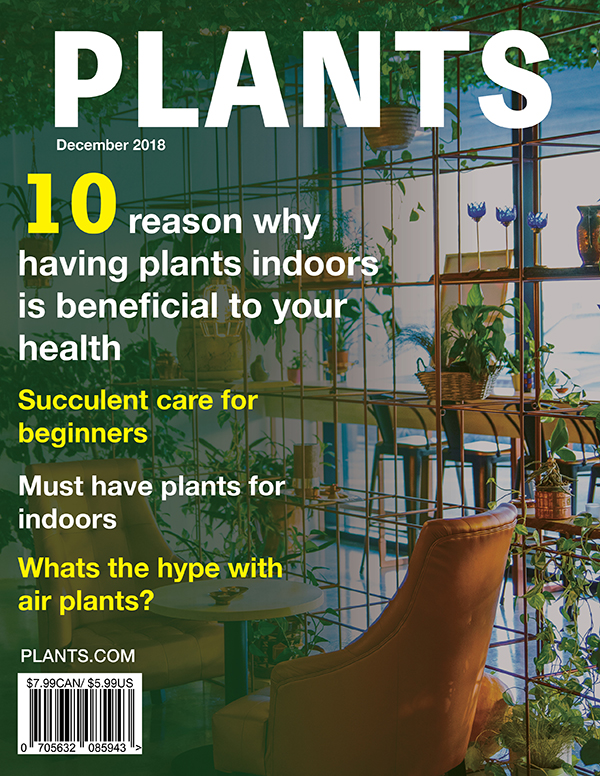 Plants magazine